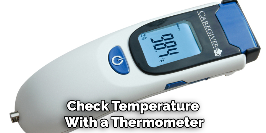 Check Temperature With a Thermometer