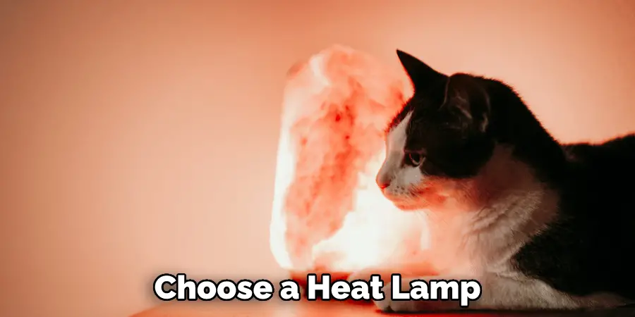 Choose a Heat Lamp