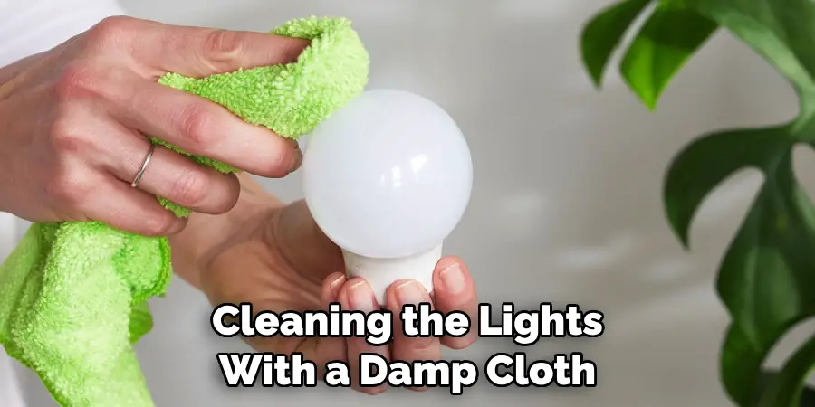 Cleaning the Lights
With a Damp Cloth