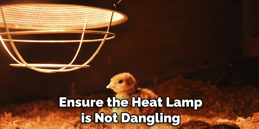 Ensure the Heat Lamp is Not Dangling
