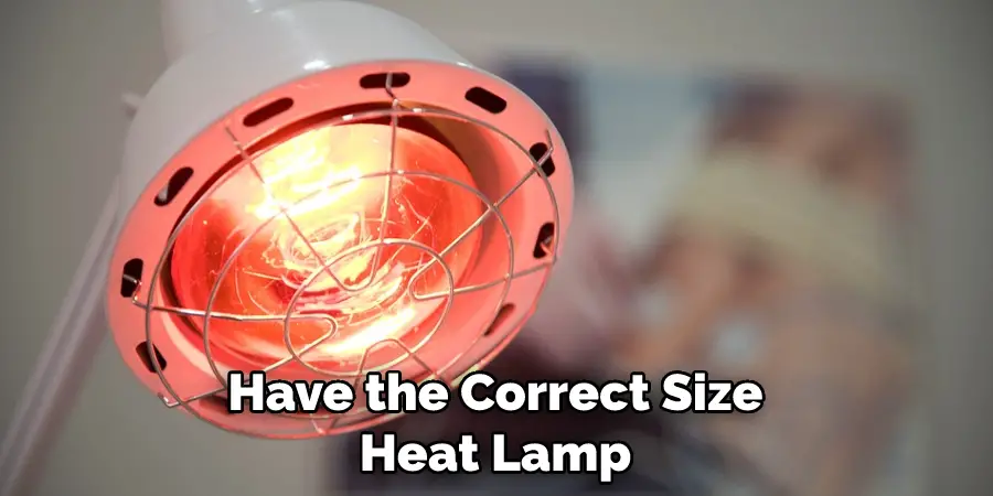 Have the Correct Size Heat Lamp