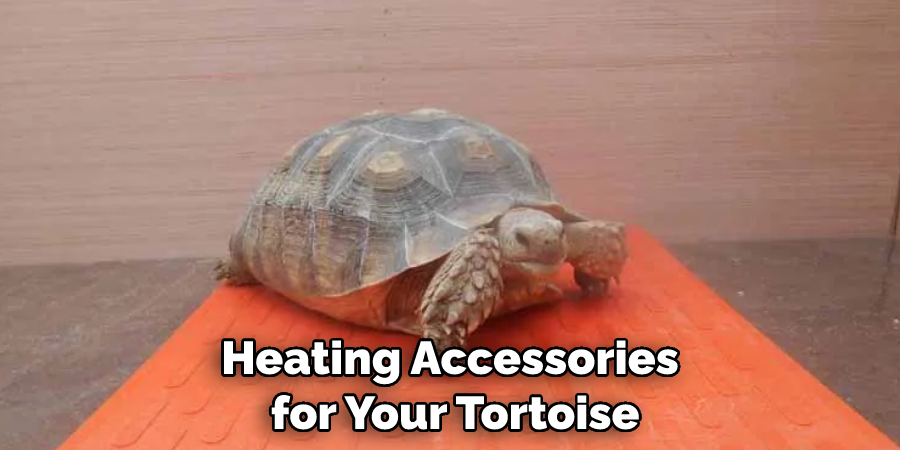 Heating Accessories for Your Tortoise