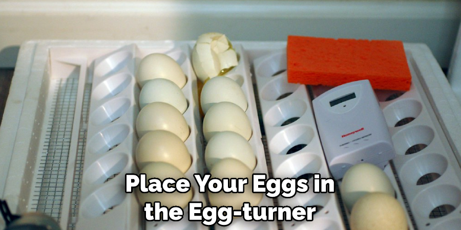 Place Your Eggs in the Egg-turner