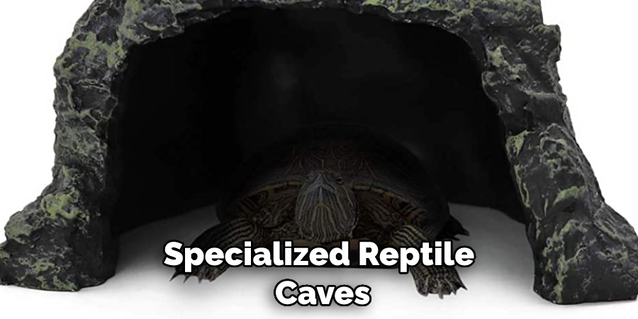 Specialized Reptile
 Caves