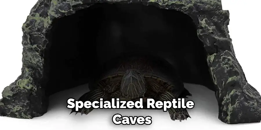 Specialized Reptile
 Caves