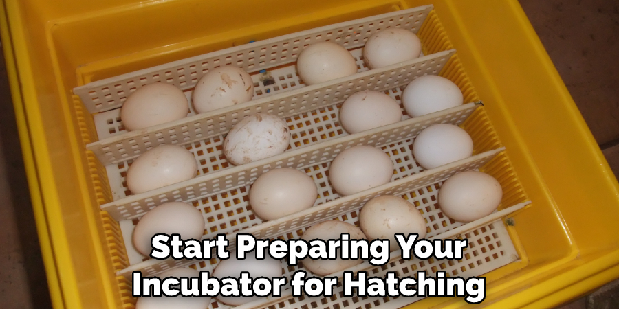 Start Preparing Your Incubator for Hatching