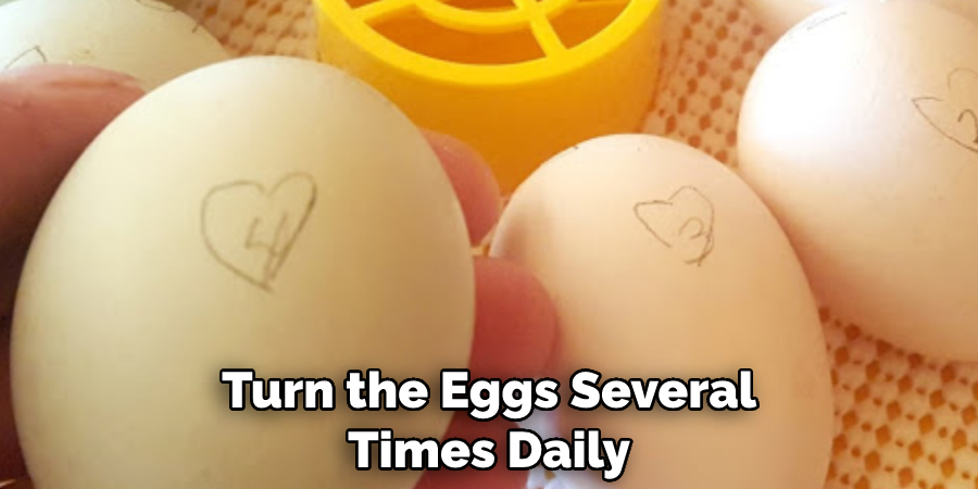 Turn the Eggs Several Times Daily