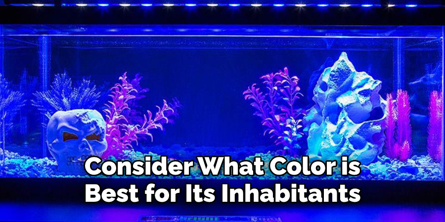 Consider What Color is 
Best for Its Inhabitants