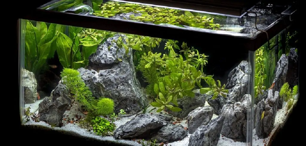 How to Dim Aquarium Lights