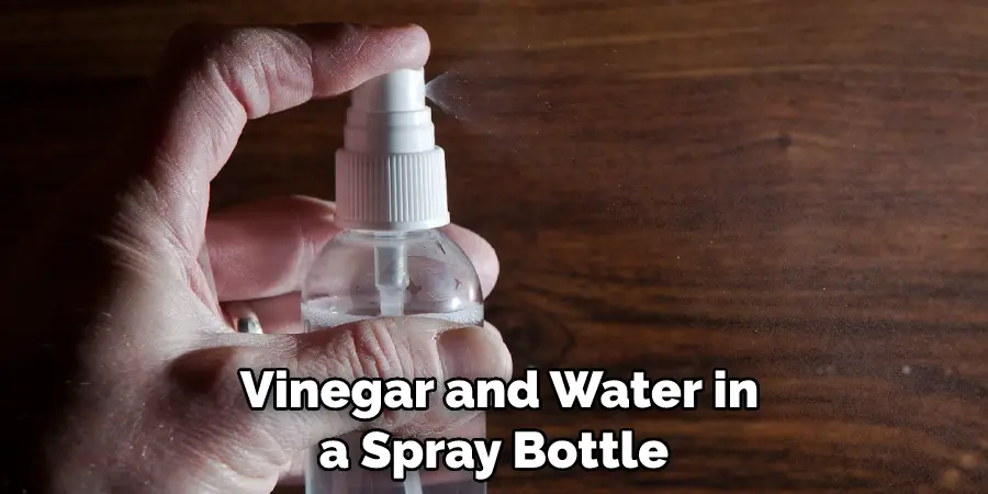 Vinegar and Water in a Spray Bottle