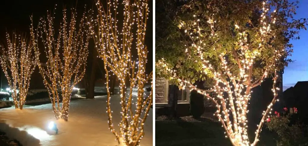 How to Wrap Crepe Myrtles With Christmas Lights