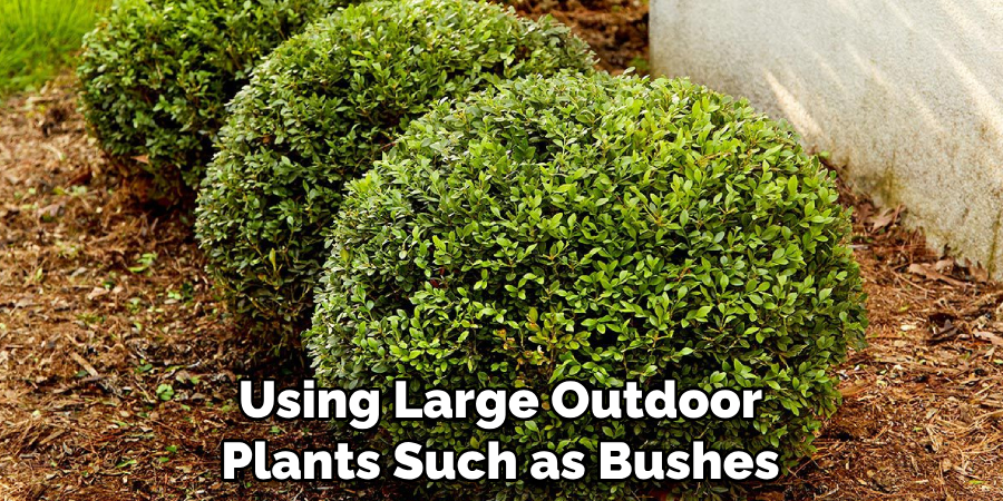 Using Large Outdoor Plants Such as Bushes