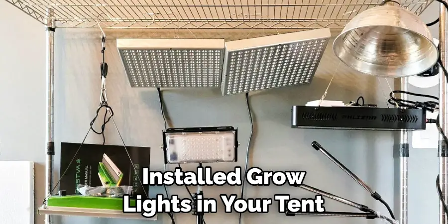 Installed Grow Lights in Your Tent