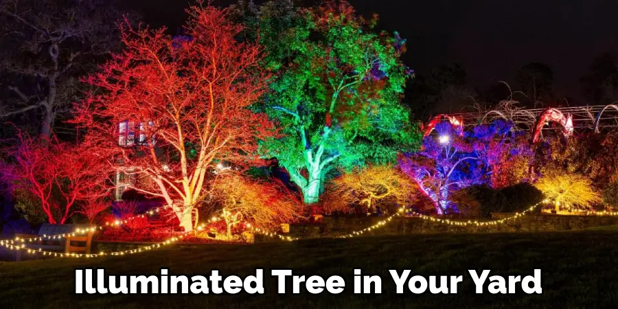 Illuminated Tree in Your Yard