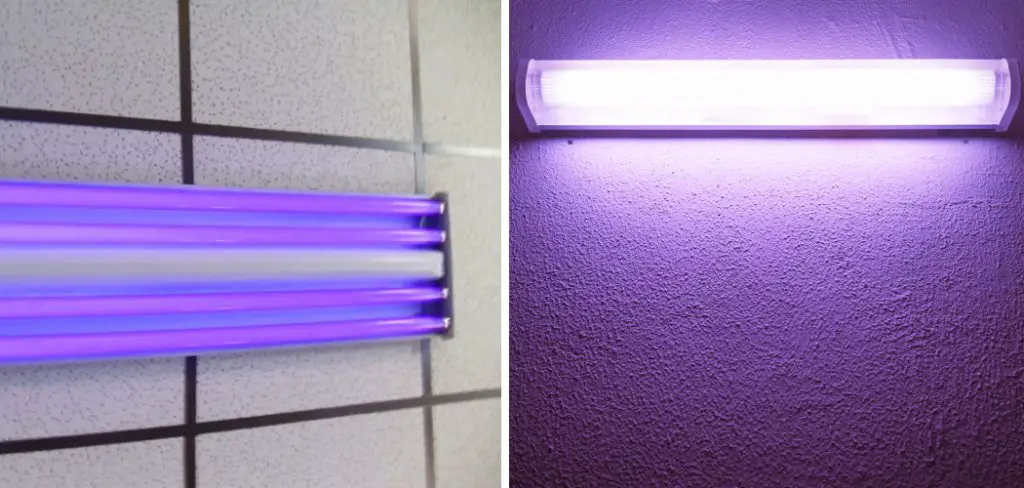 How to Hang a Blacklight