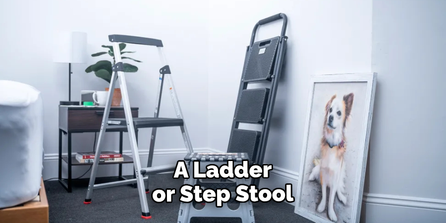 A Ladder or Step Stool