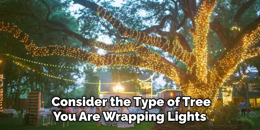 Consider the Type of Tree You Are Wrapping Lights 