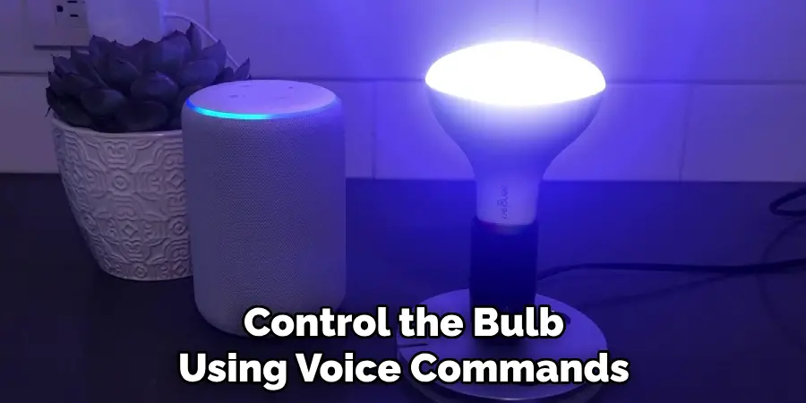 Control the Bulb Using Voice Commands