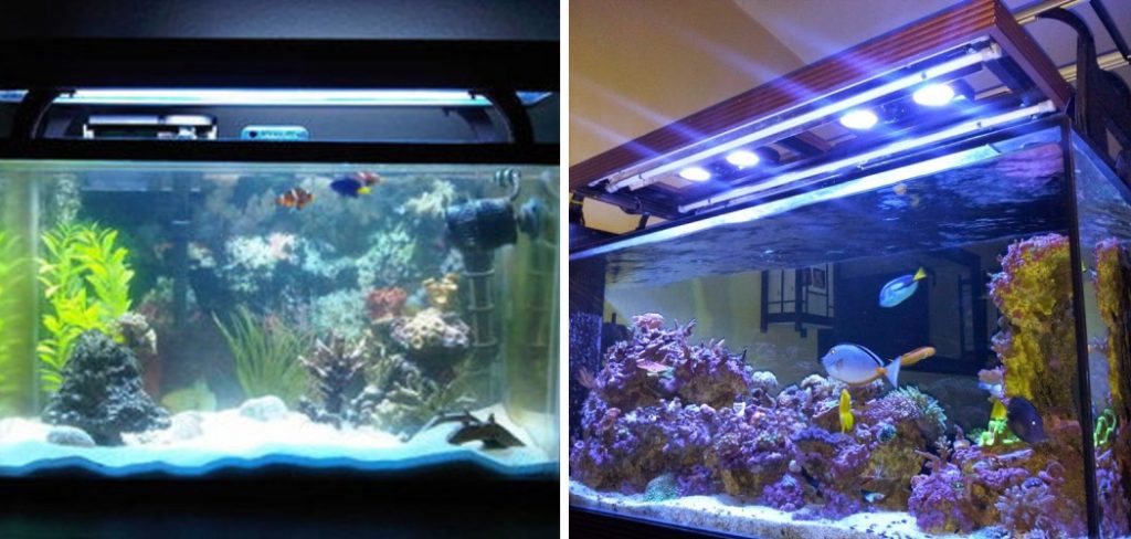 How to Install Aquarium Lights
