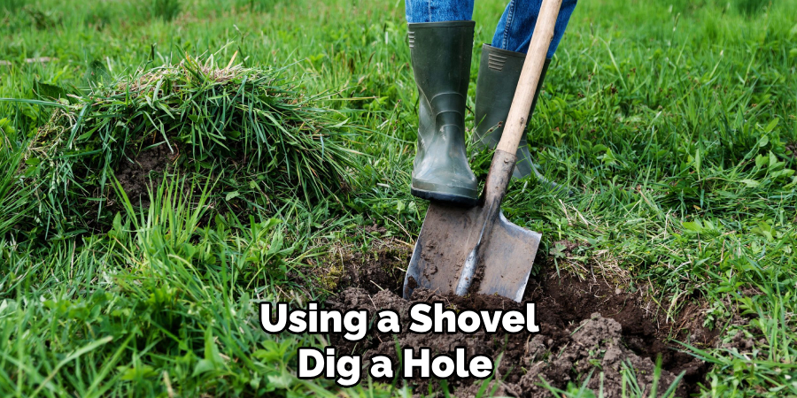 Using a Shovel Dig a Hole 
