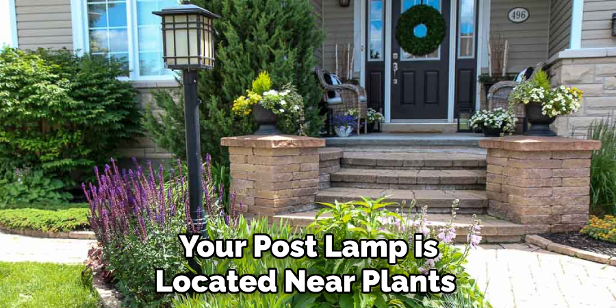 Your Post Lamp is Located Near Plants