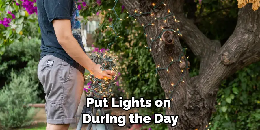 Put Lights on a Large Outdoor Tree is During the Day 