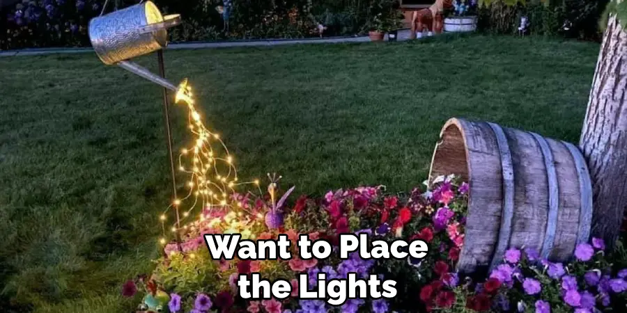 Want to Place the Lights