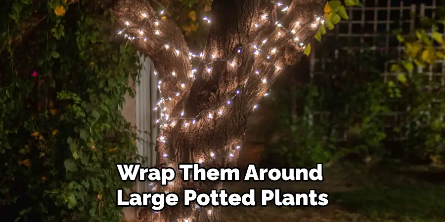 Wrap Them Around Large Potted Plants