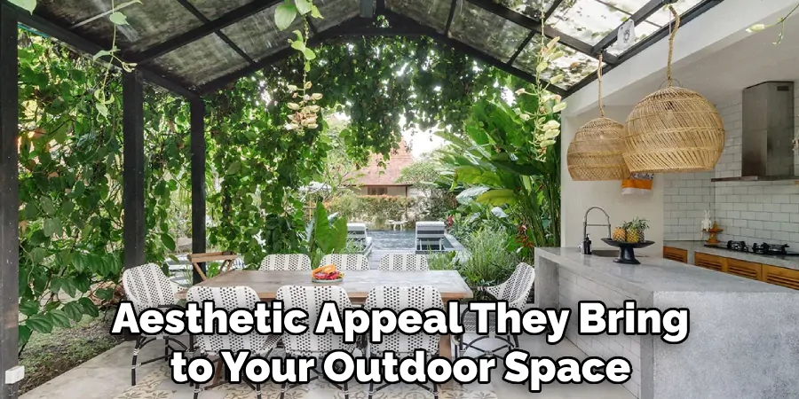 Aesthetic Appeal They Bring to Your Outdoor Space