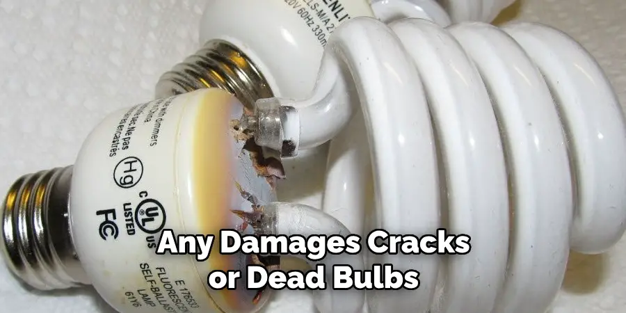 Any Damages Cracks or Dead Bulbs