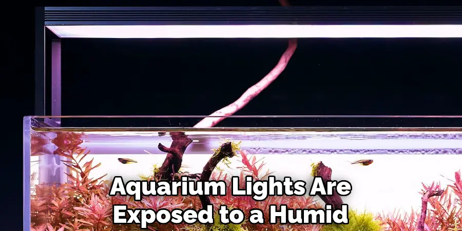 Aquarium Lights Are Exposed to a Humid