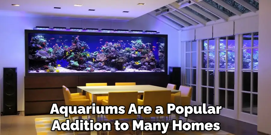 Aquariums Are a Popular Addition to Many Homes