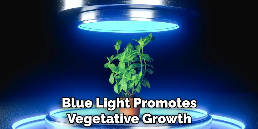 Blue Light Promotes Vegetative Growth