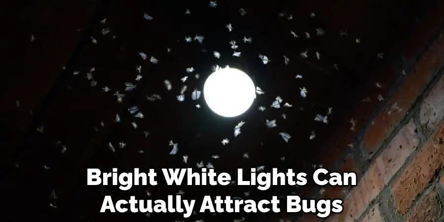 Bright White Lights Can Actually Attract Bugs