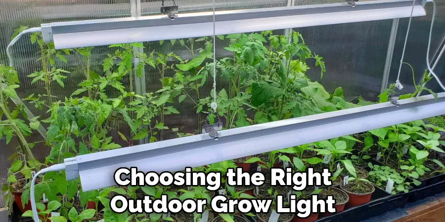 Choosing the Right Outdoor Grow Light