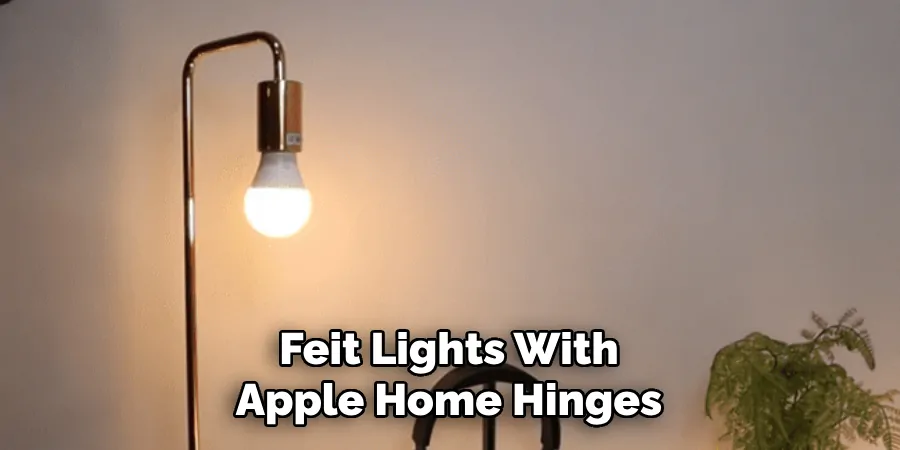 Feit Lights With Apple Home Hinges