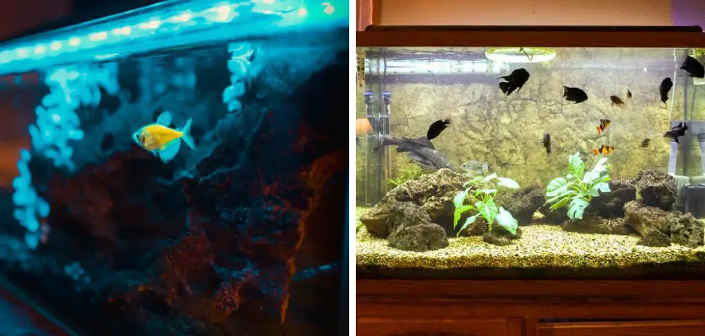 How to Seal Aquarium Lights