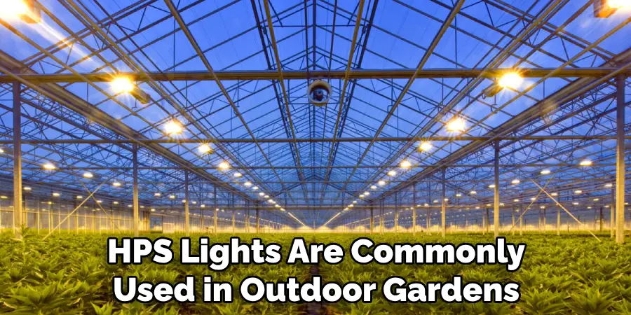 Hps Lights Are Commonly Used in Outdoor Gardens