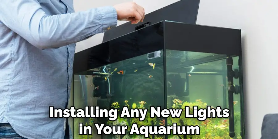 Installing Any New Lights in Your Aquarium