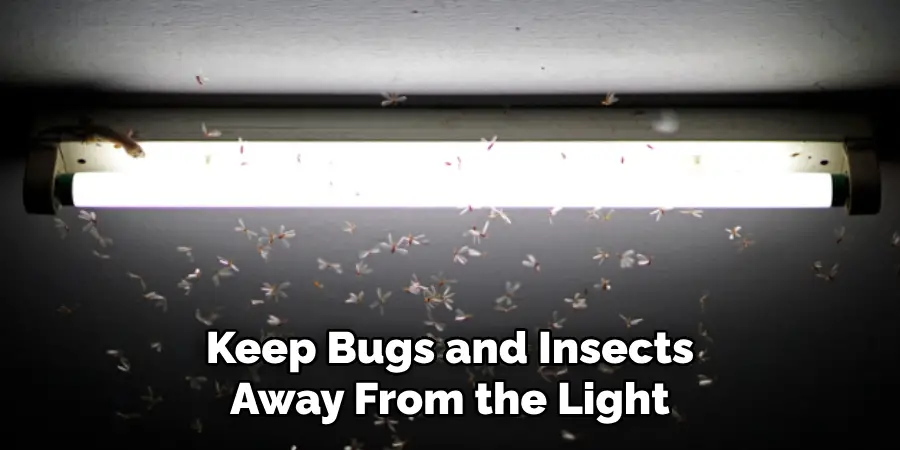 Keep Bugs and Insects Away From the Light