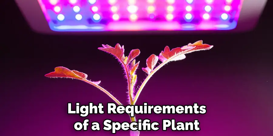 Light Requirements of a Specific Plant