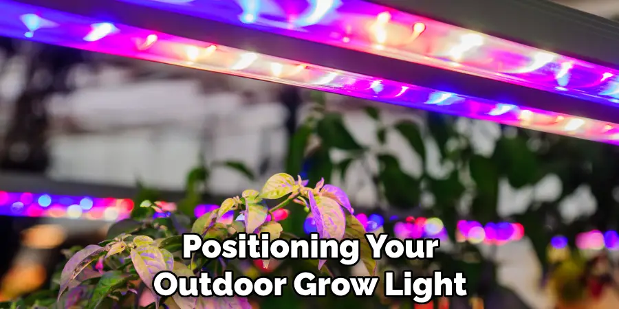 Positioning Your Outdoor Grow Light