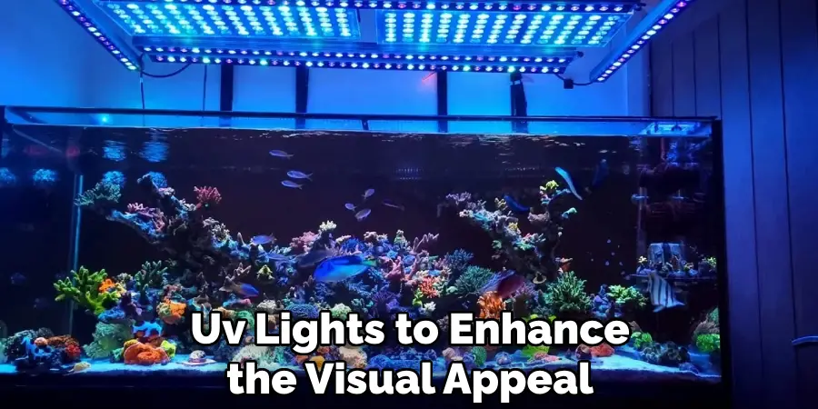 Uv Lights to Enhance the Visual Appeal