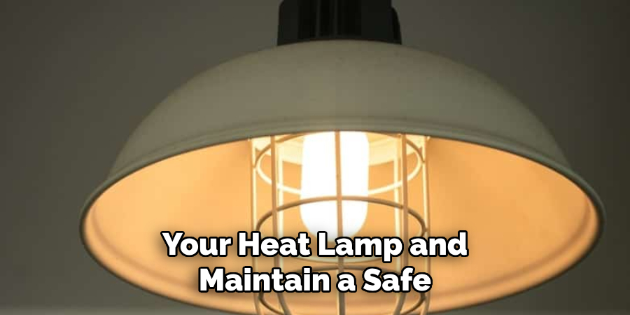 Your Heat Lamp and Maintain a Safe