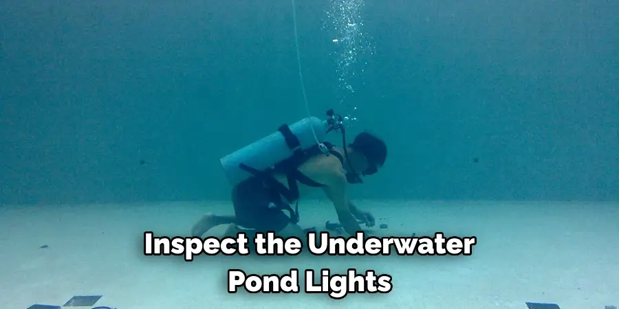 Inspect the Underwater Pond Lights