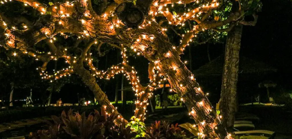How to Attach String Lights to Tree