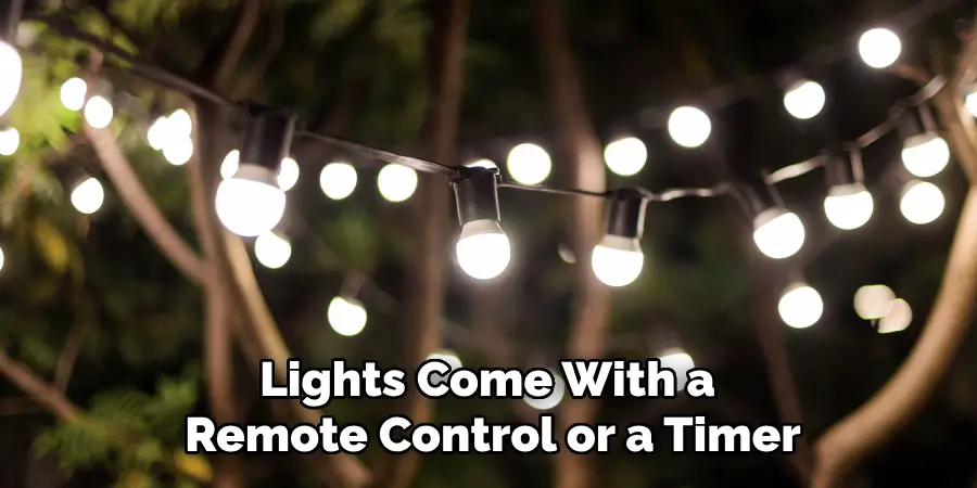 Lights Come With a
Remote Control or a Timer
