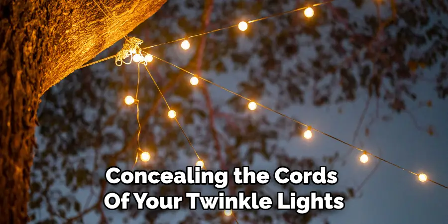 Concealing the Cords
Of Your Twinkle Lights