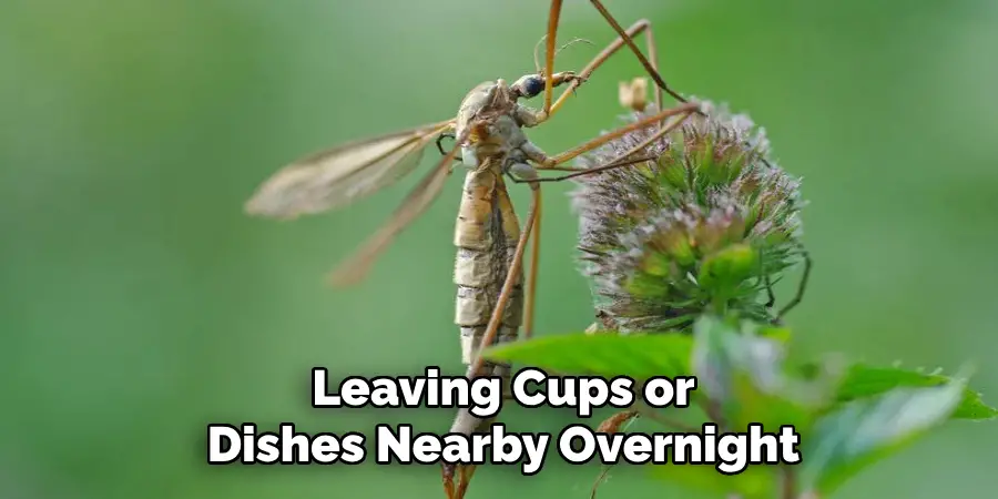 Leaving Cups or
Dishes Nearby Overnight