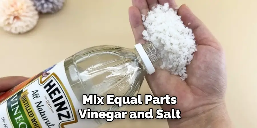 Mix Equal Parts Vinegar and Salt